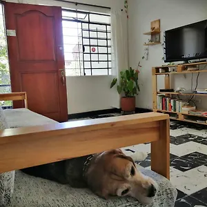 Selvática , Medellín Colômbia